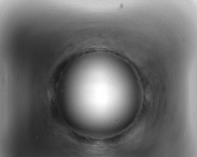 X0000088661495200706011230