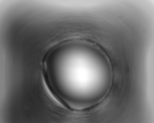 X0000088661497200706011230