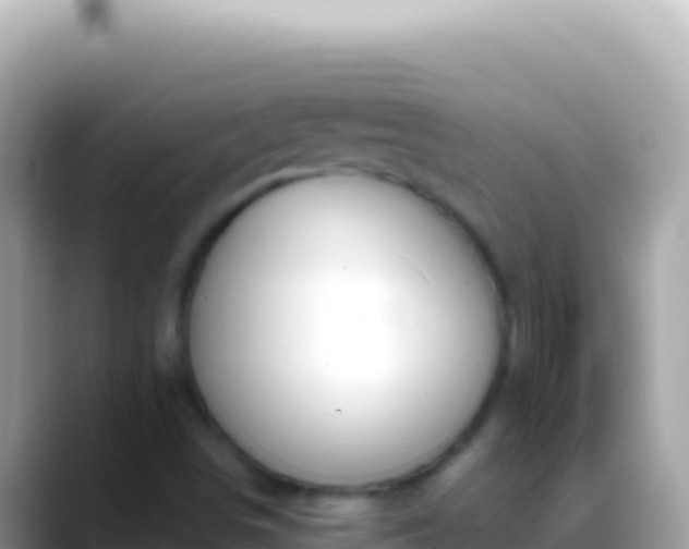 X0000088661498200706011230