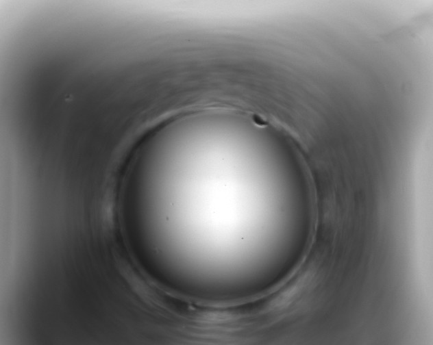 X0000088661499200706011230