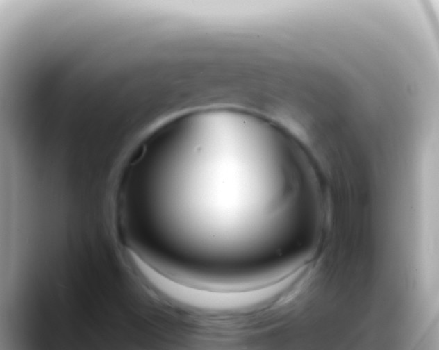 X0000088661500200706011230