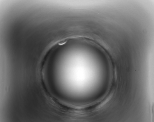 X0000088661501200706011230