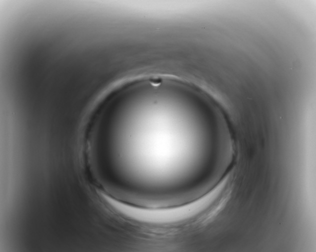 X0000088661502200706011230