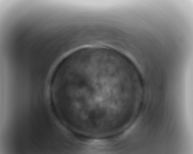 X0000088661506200706011230