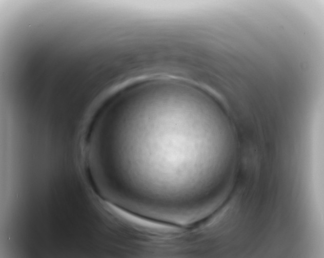 X0000088661507200706011230