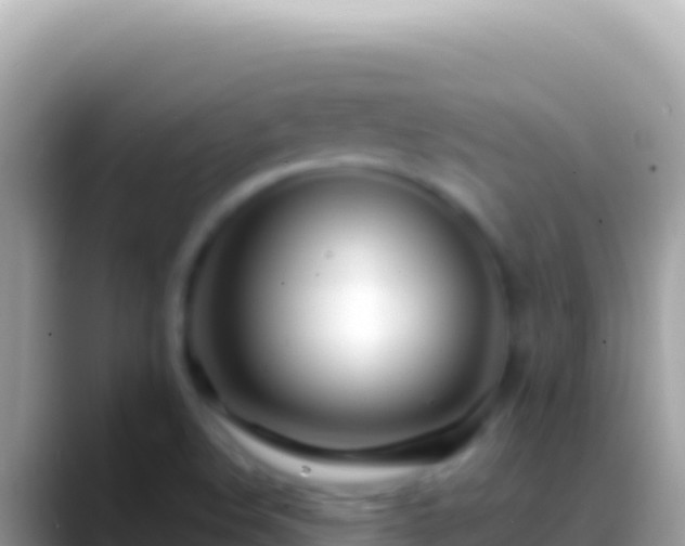 X0000088661508200706011230