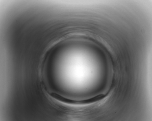 X0000088661513200706011230