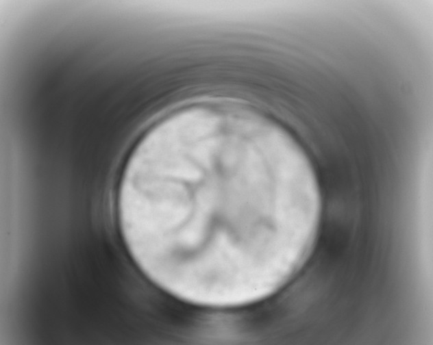 X0000088661514200706011230