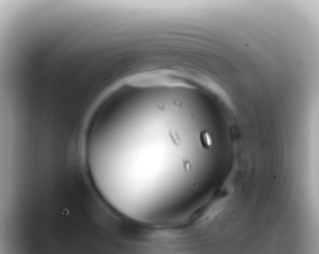 X0000088661516200706011230