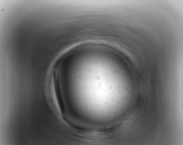 X0000088661517200706011230