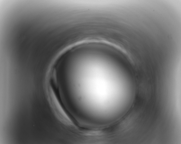 X0000088661519200706011230