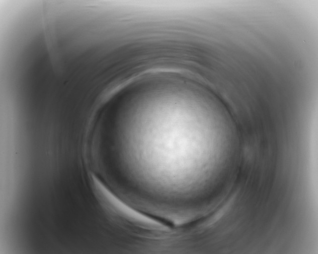 X0000088661521200706011230