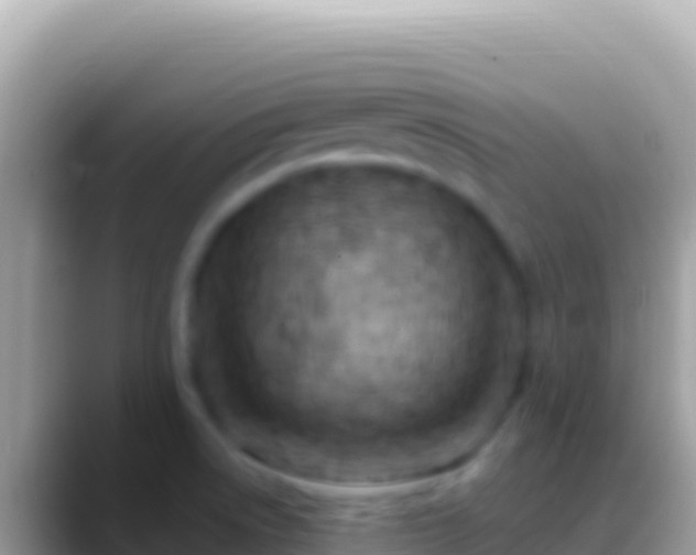 X0000088661522200706011230