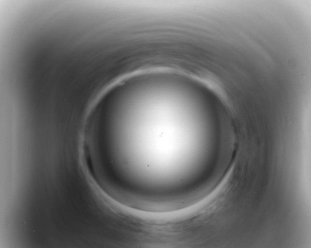 X0000088661524200706011230