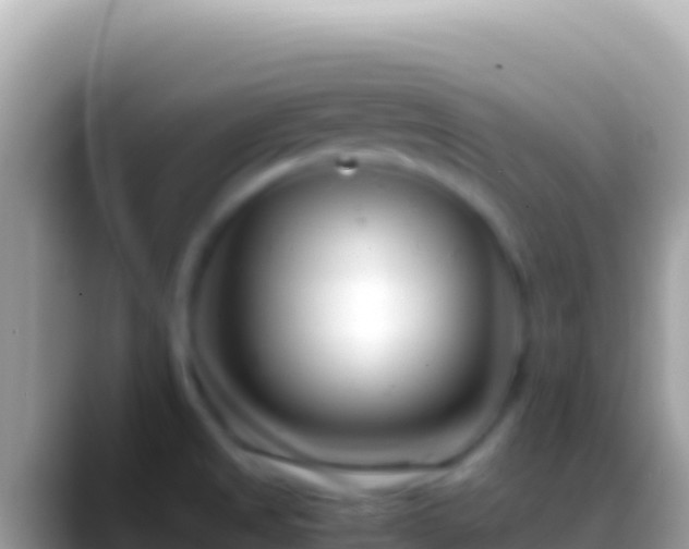 X0000088661525200706011230