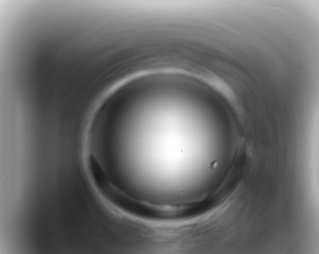 X0000088661528200706011230