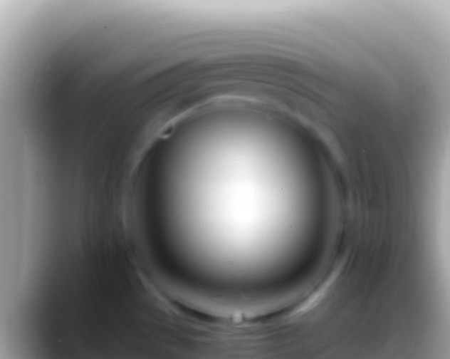 X0000088661529200706011230