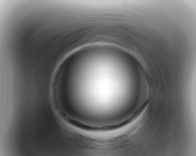 X0000088661530200706011230