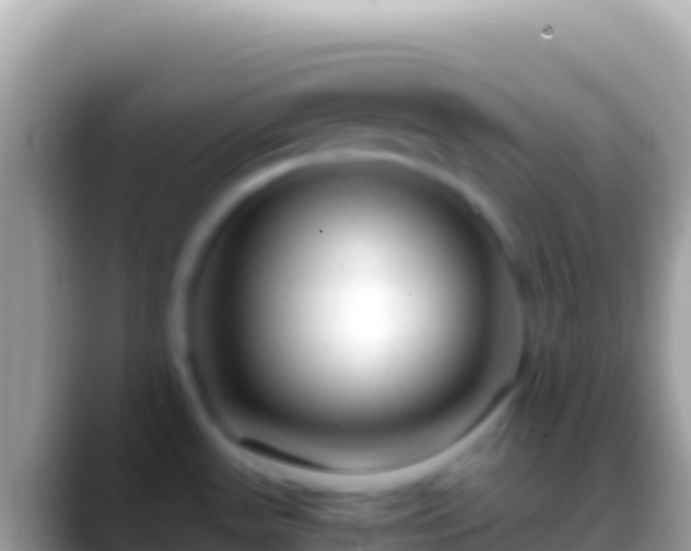 X0000088661531200706011230