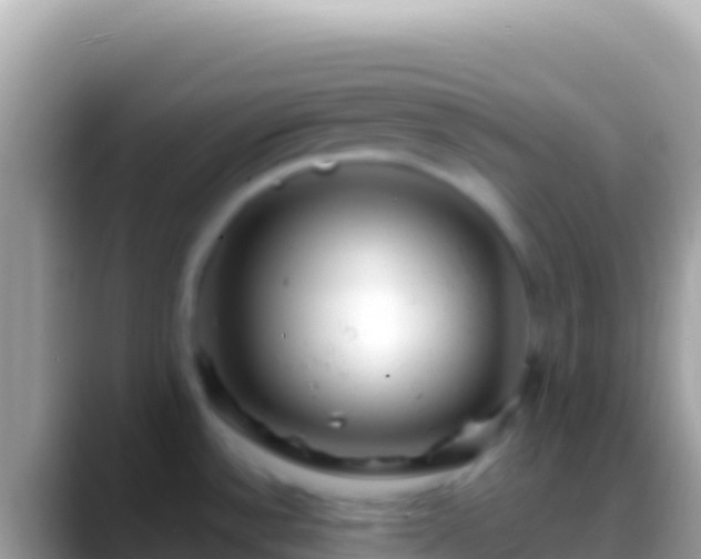 X0000088661532200706011230