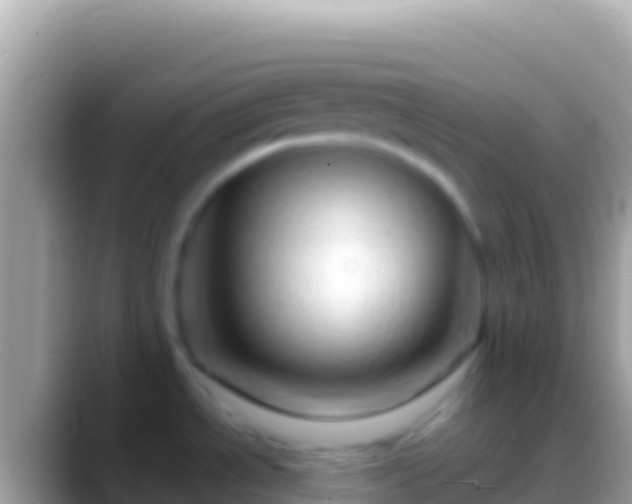 X0000088661534200706011230