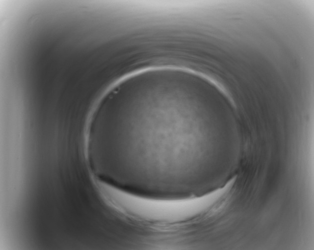 X0000088661535200706011230