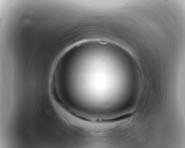 X0000088661536200706011230