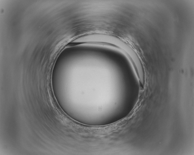 X0000088660001200706081714