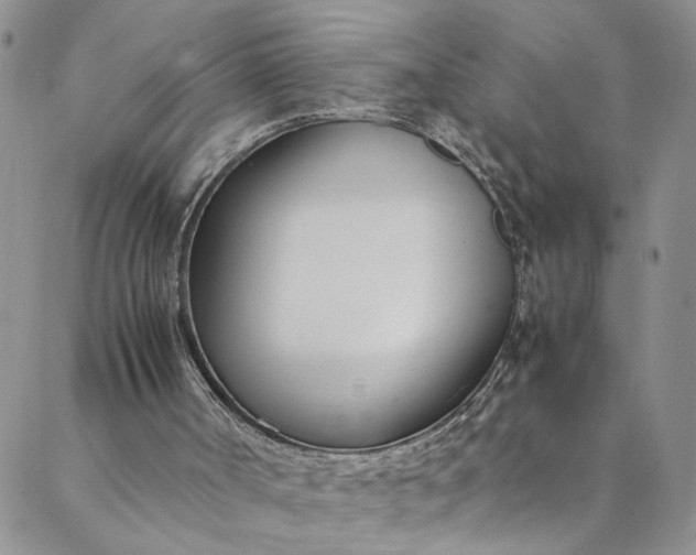 X0000088660002200706081714