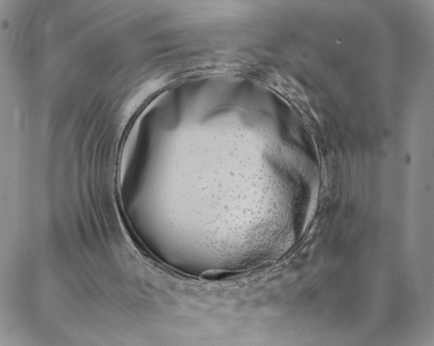 X0000088660003200706081714