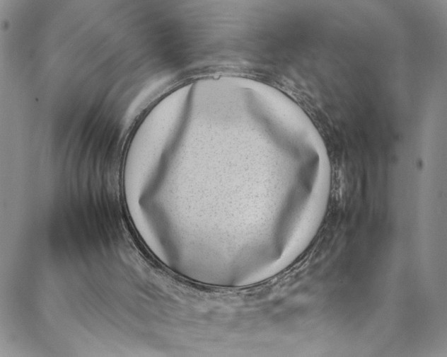 X0000088660004200706081714