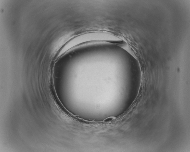 X0000088660005200706081714