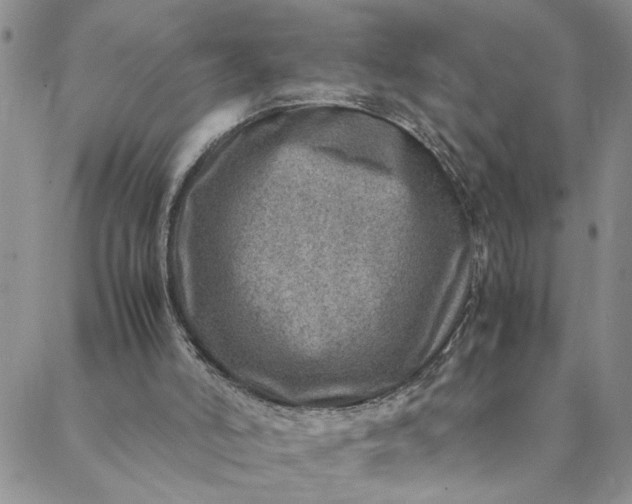 X0000088660006200706081714