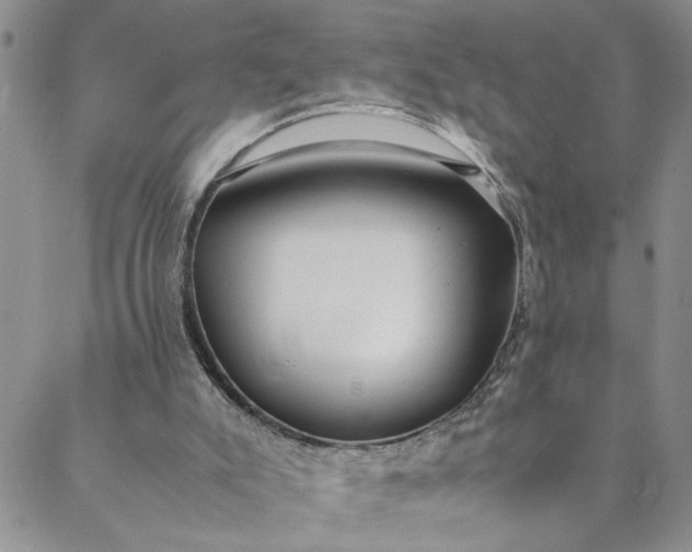 X0000088660007200706081714