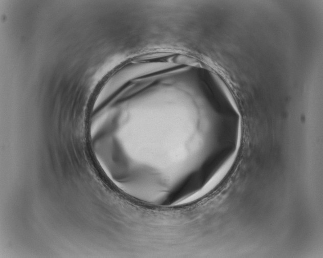 X0000088660008200706081714