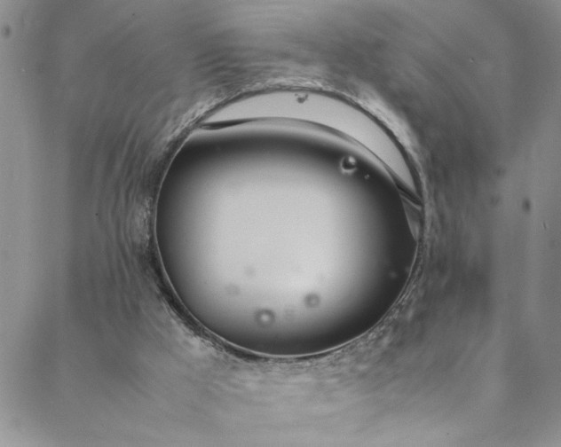 X0000088660009200706081714