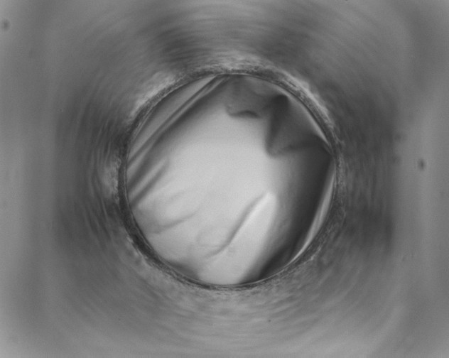 X0000088660010200706081714