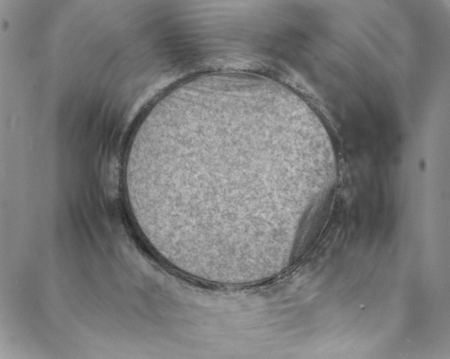 X0000088660012200706081714