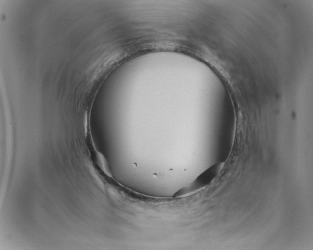 X0000088660013200706081714