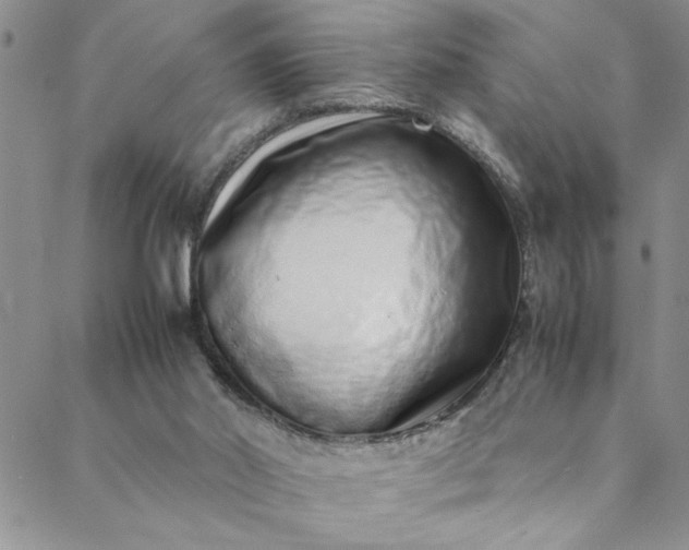 X0000088660014200706081714