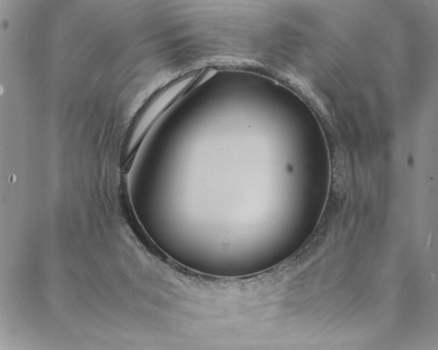 X0000088660015200706081714