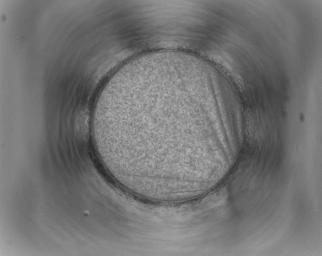 X0000088660016200706081714