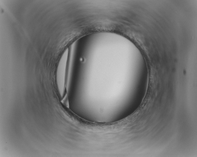 X0000088660017200706081714