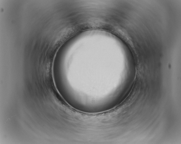 X0000088660018200706081714