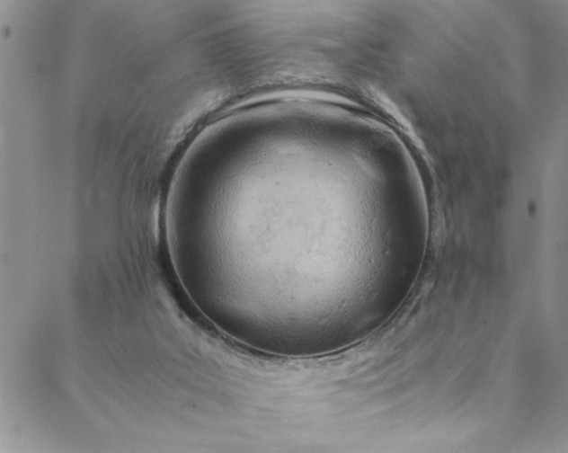 X0000088660019200706081714