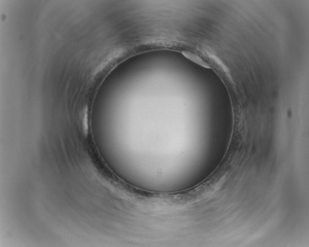 X0000088660020200706081714