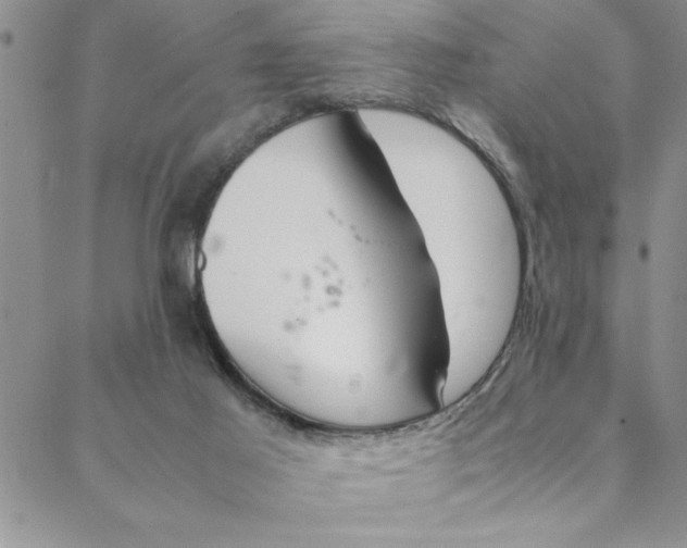 X0000088660021200706081714