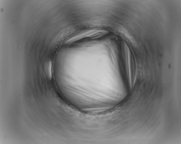 X0000088660022200706081714