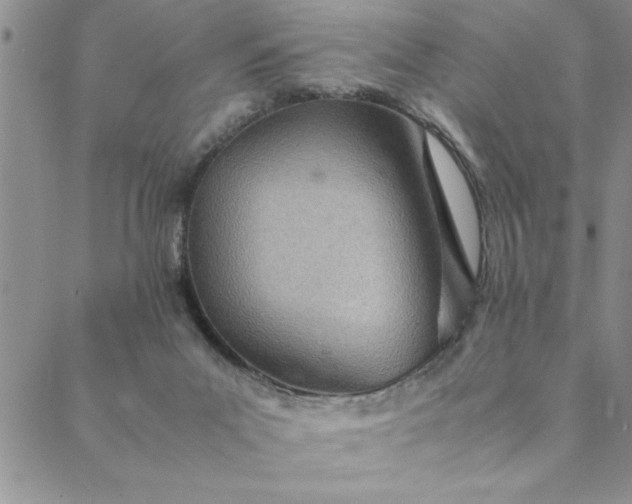 X0000088660023200706081714