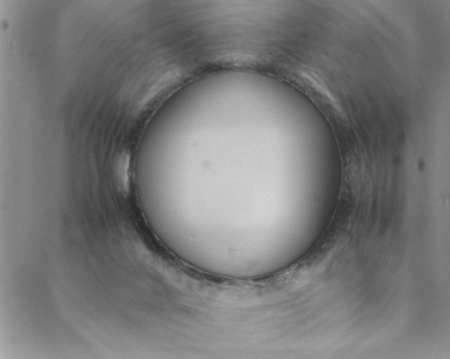 X0000088660024200706081714